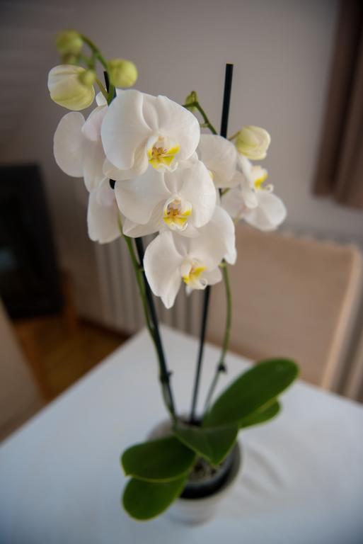 Barcza Vendeghaz Hotel Balatonfüred Buitenkant foto